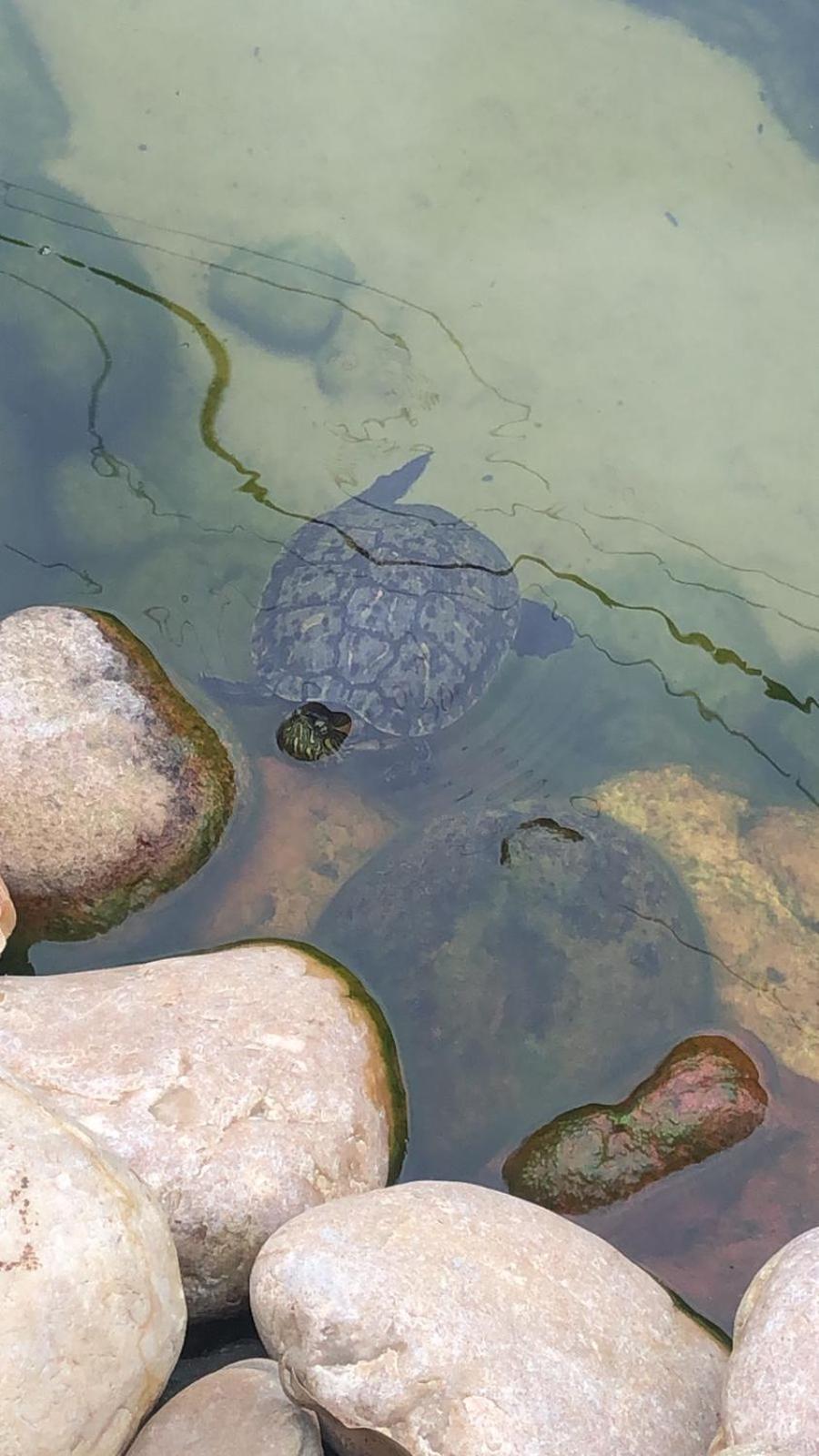 Pousada Vo Lica Com Piscina Penha  Exteriér fotografie
